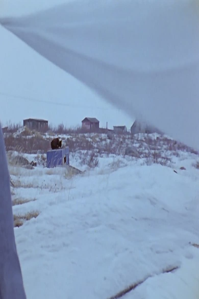 Some Natives of Churchill poster