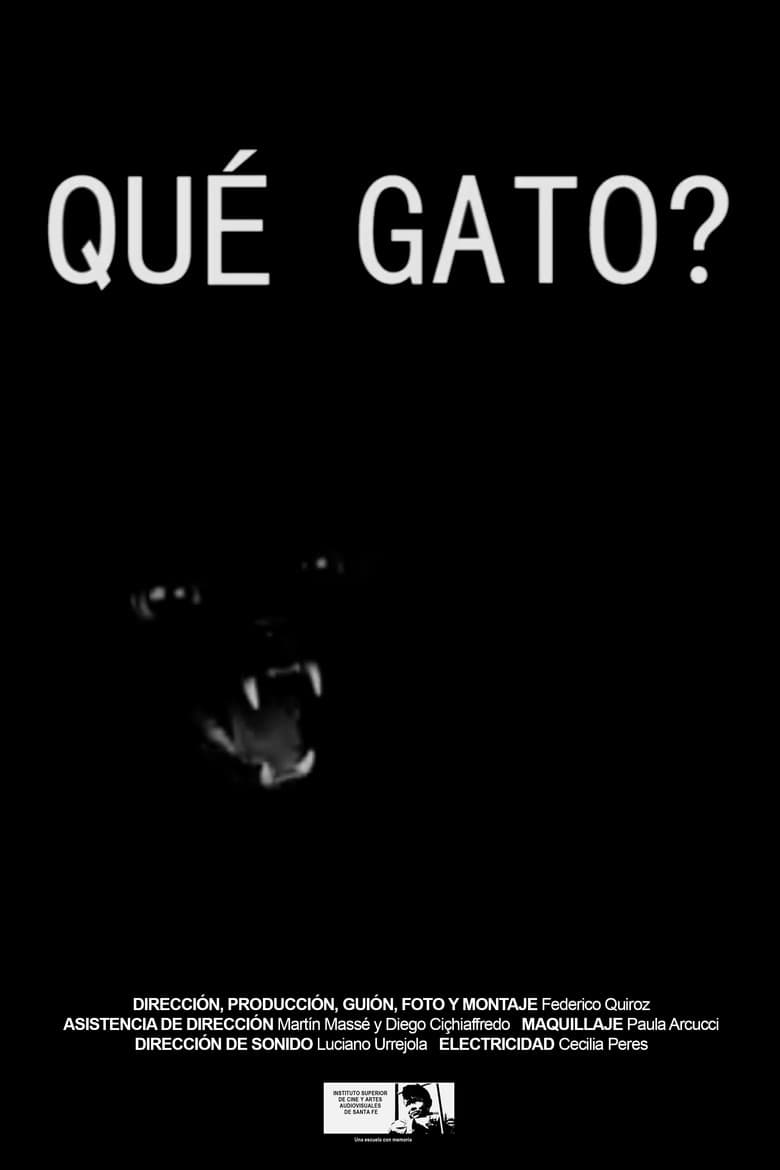 Qué gato? poster