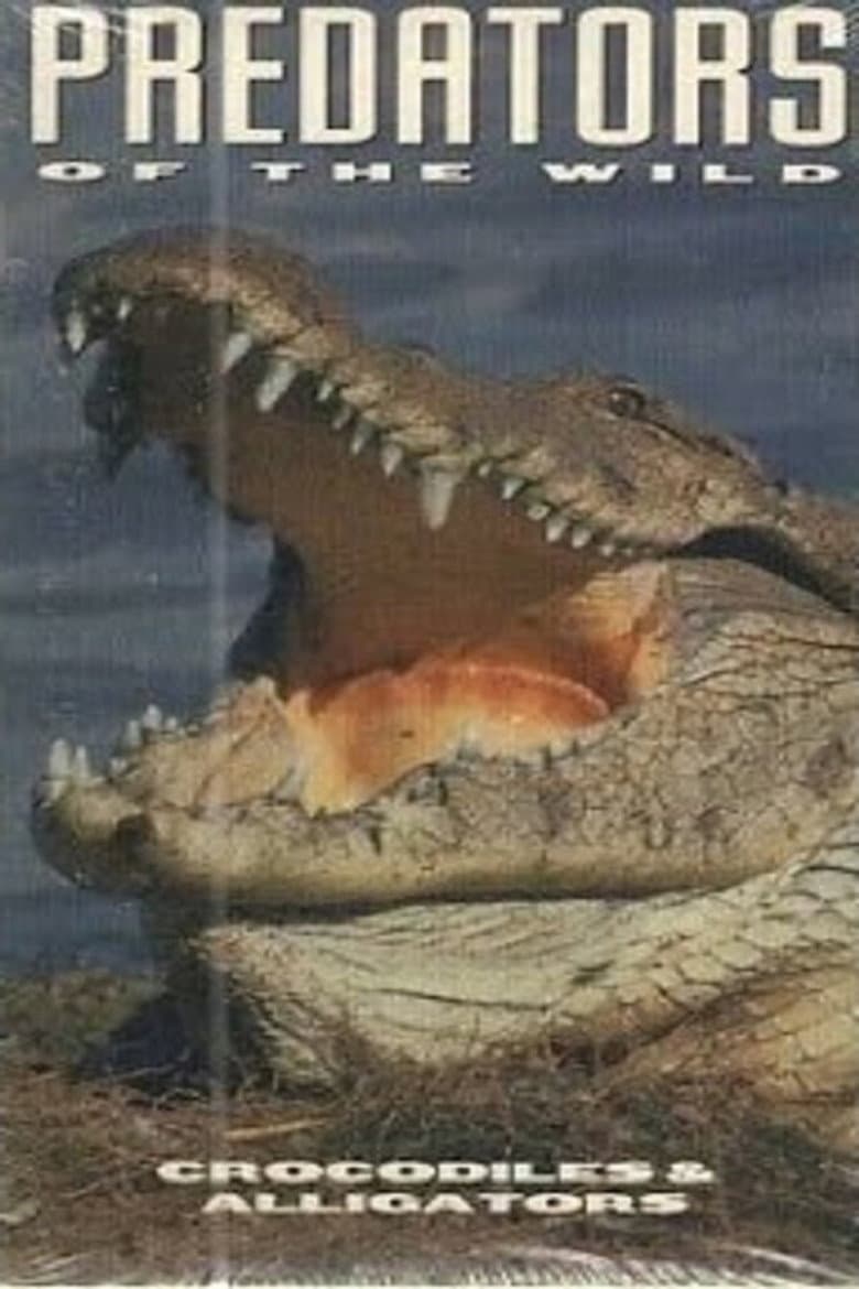 Predators of the Wild: Crocodiles and Alligators poster