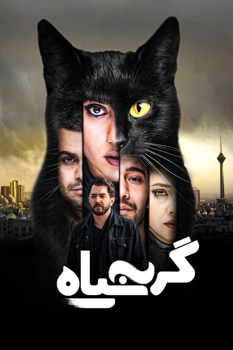 The Black Cat poster