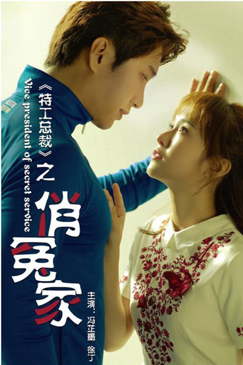 Perfect Match: Vice President of Secret Service poster