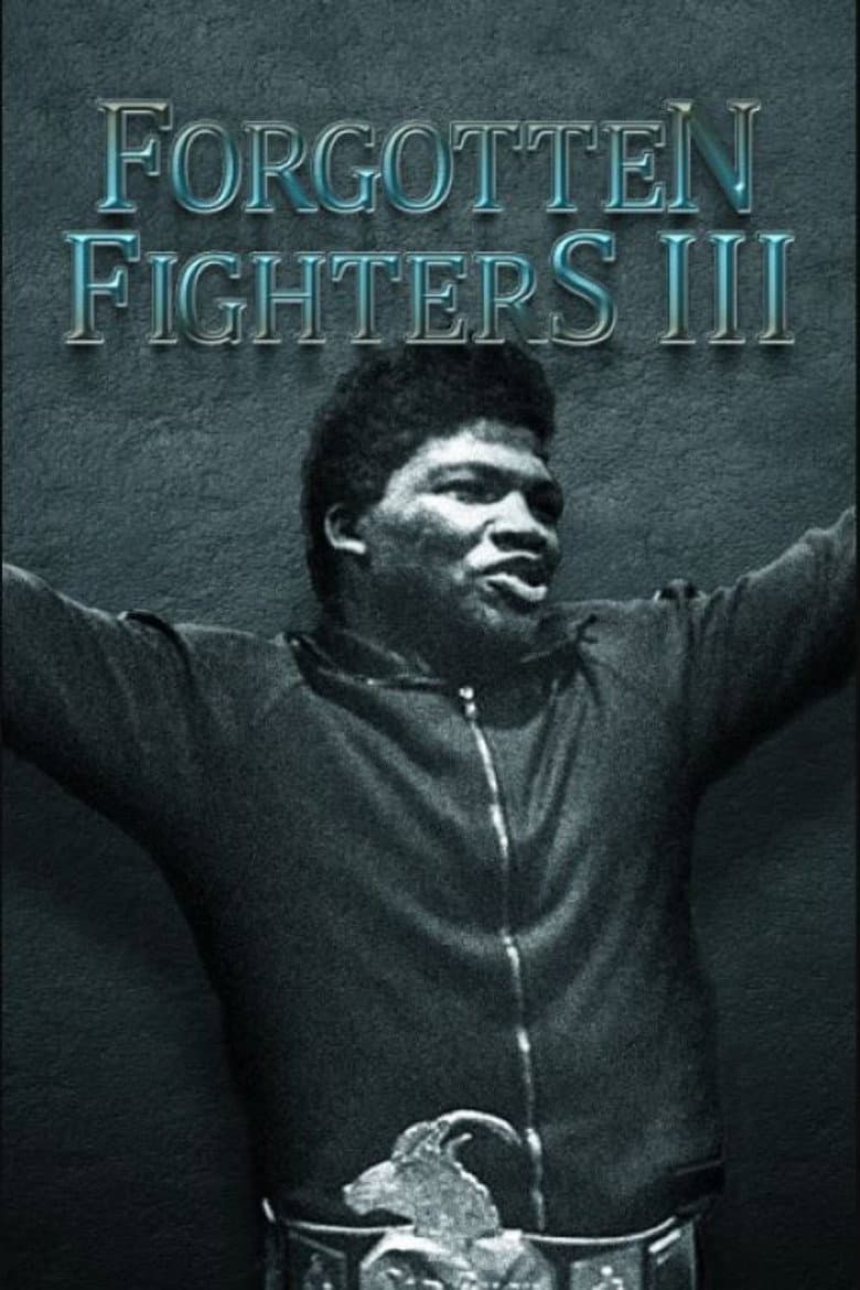 Forgotten Fighters III poster