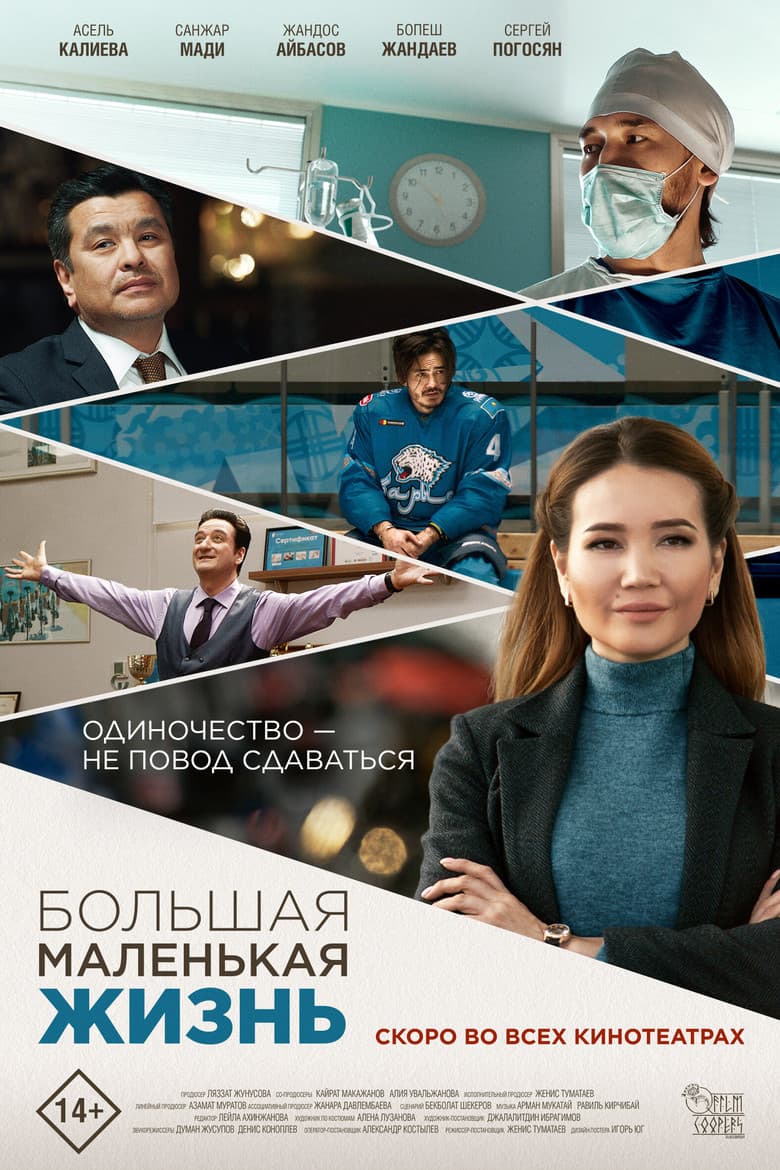 Big Little Life poster