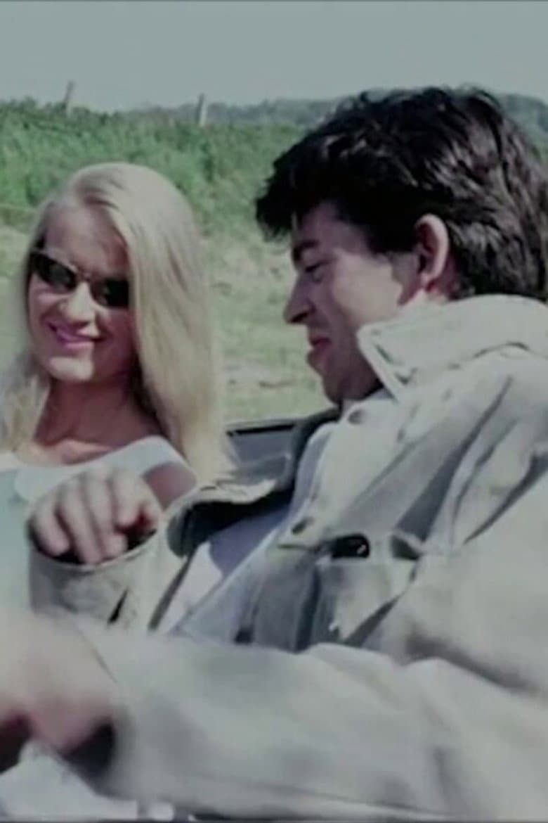 One Summer in Somerset poster