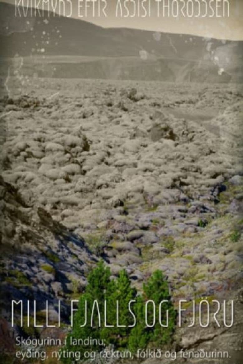 Woods Grew Here Once poster