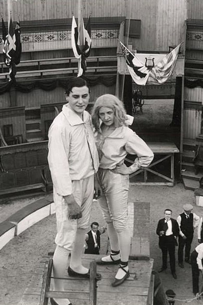 The Clown's Revenge poster