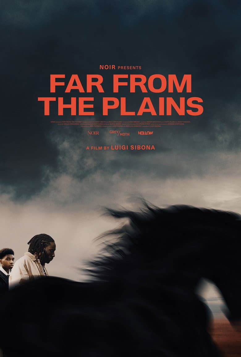 Far From the Plains poster