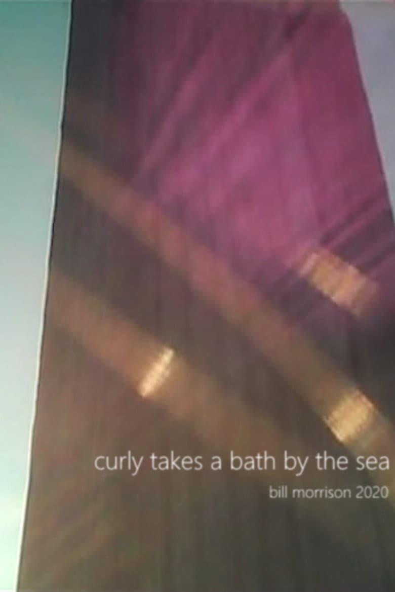 Curly Takes a Bath by the Sea poster