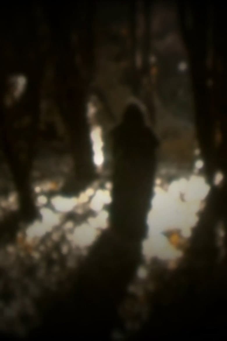 O senso dos desatinados poster