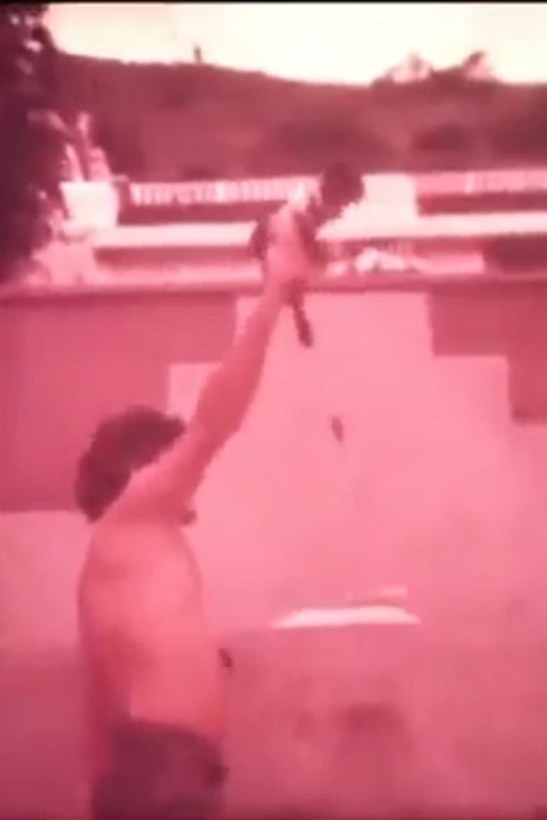 Quem Quiser Fazer Que Faça Agora poster