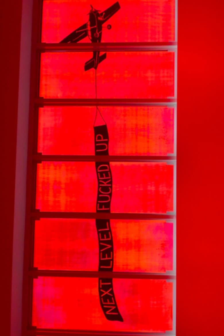 NEXT LEVEL FUCKED UP poster