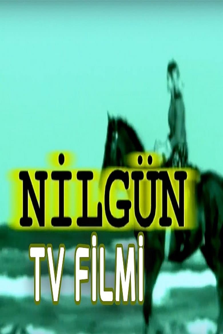 Nilgün poster