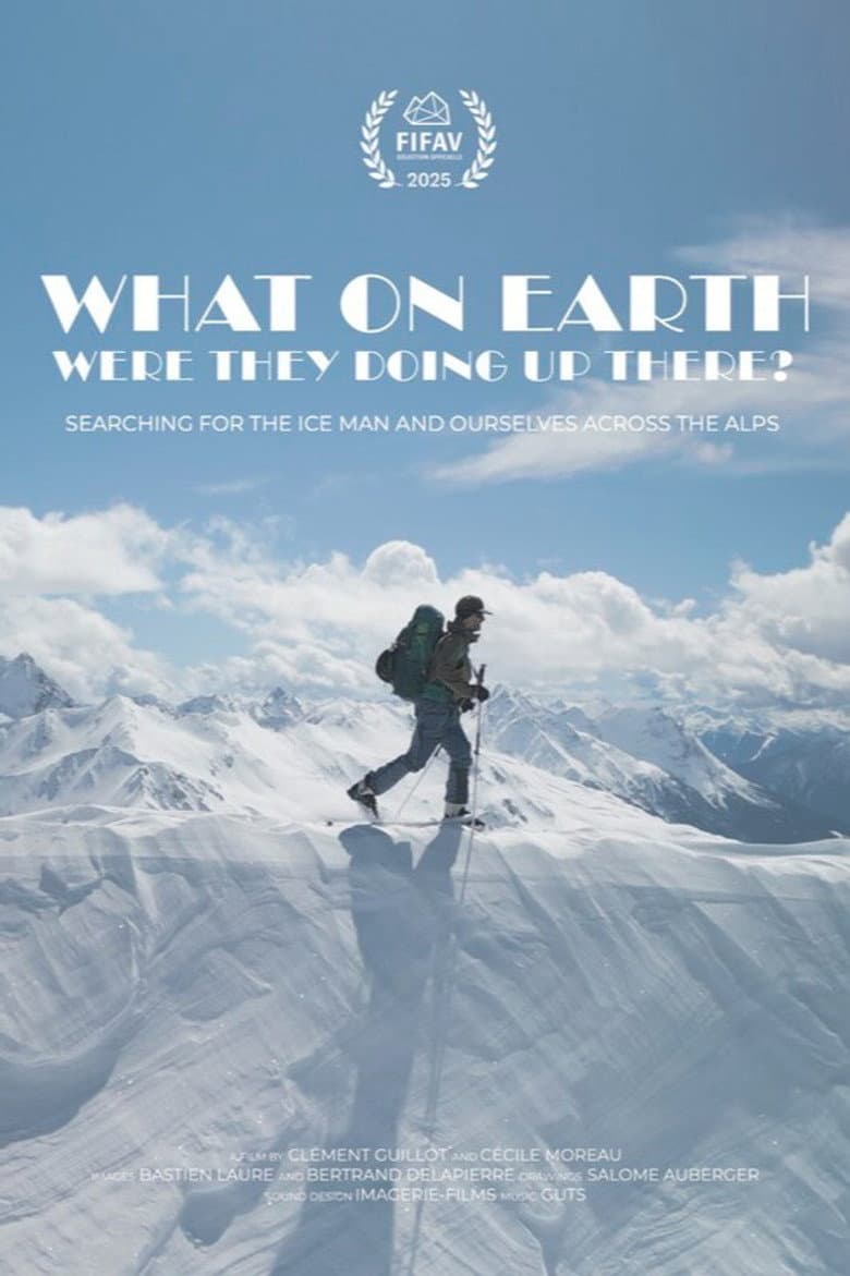 What On Earth Were They Doing Up There? poster
