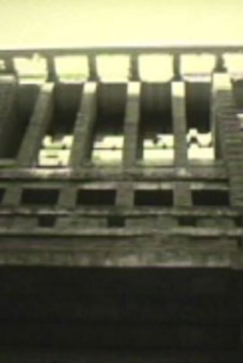 Imperial Hotel poster