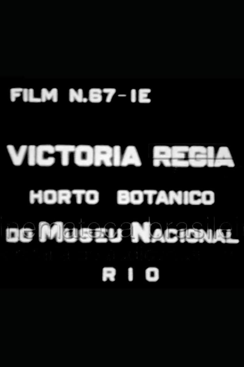 Victória Régia: Horto Botânico do Museu Nacional poster