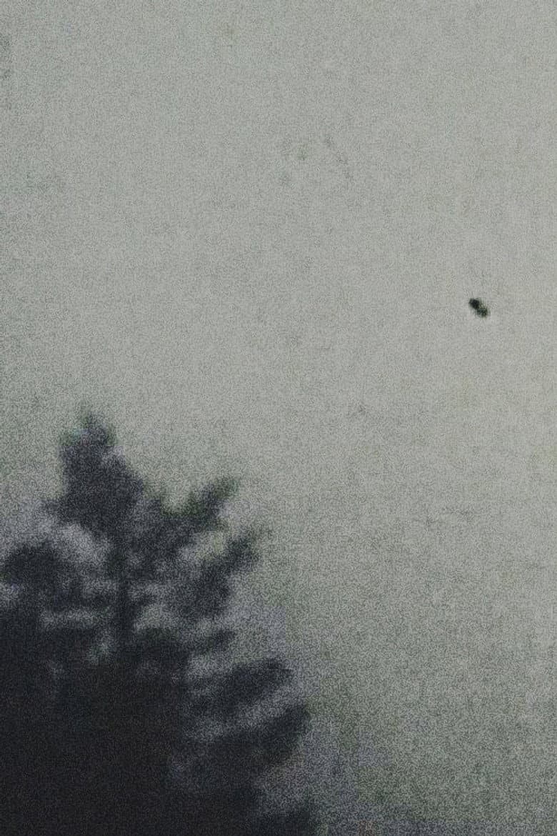 Kiri (The Fog) poster