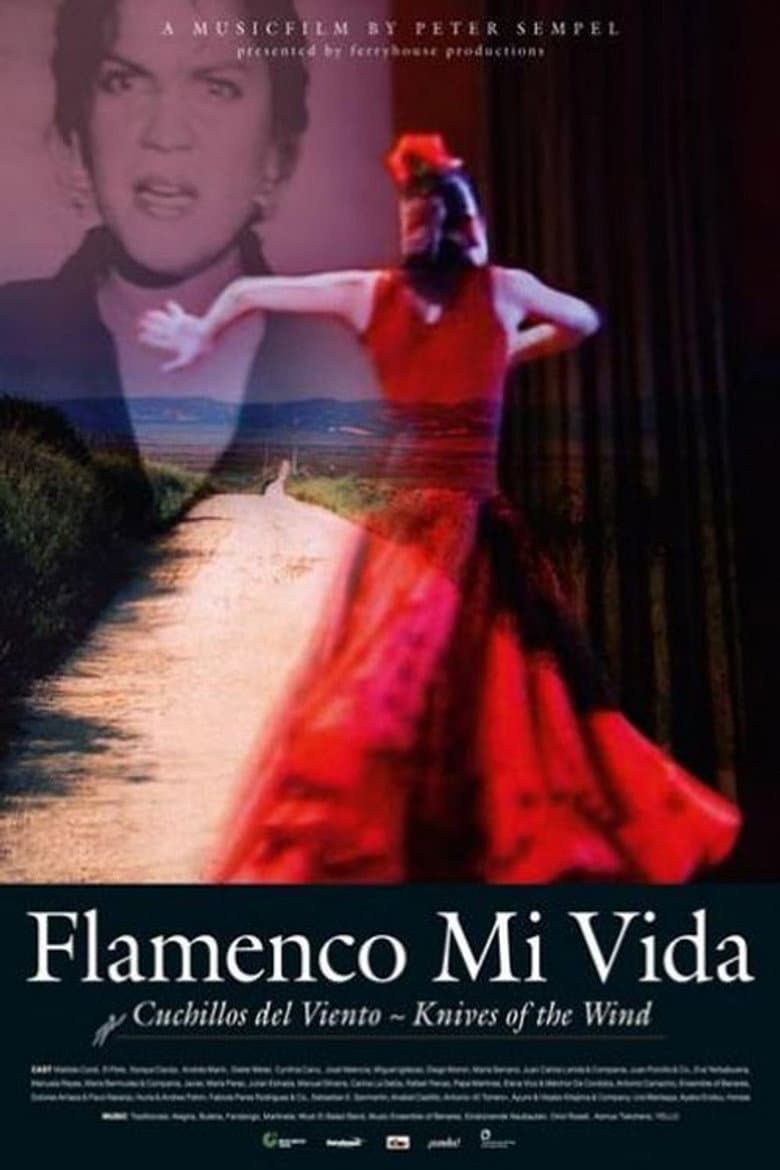 Flamenco mi vida - Knives of the wind poster