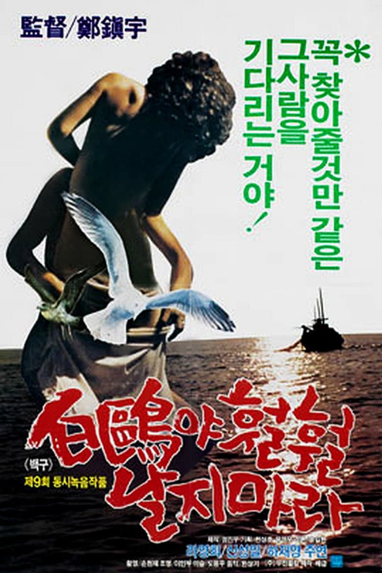 A White Feathered Gull poster