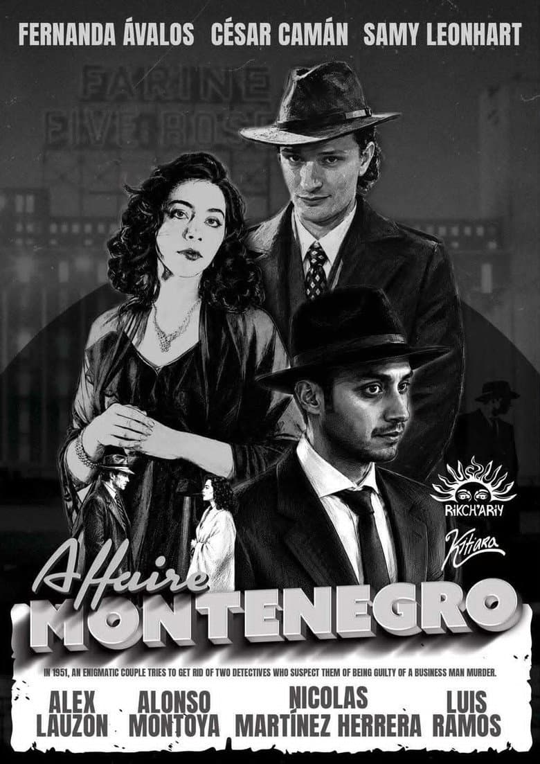 The Montenegro Affair poster