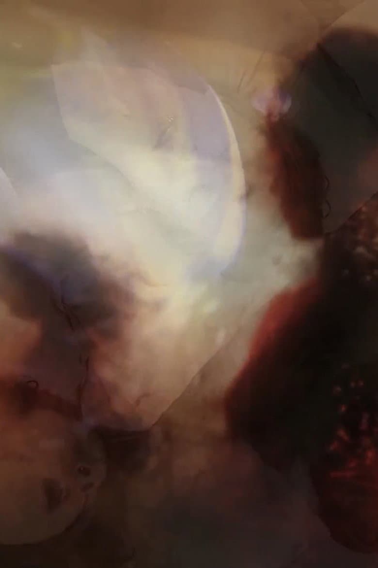 (S)he Said that poster