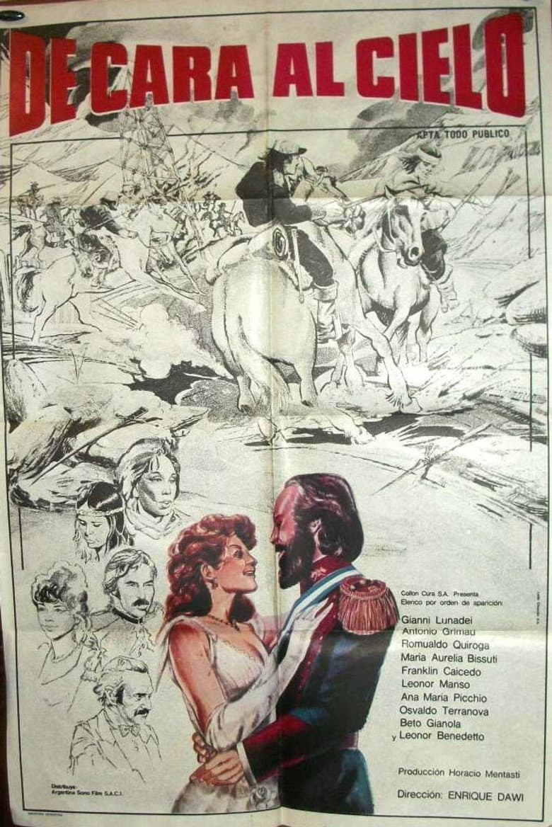 De cara al cielo poster