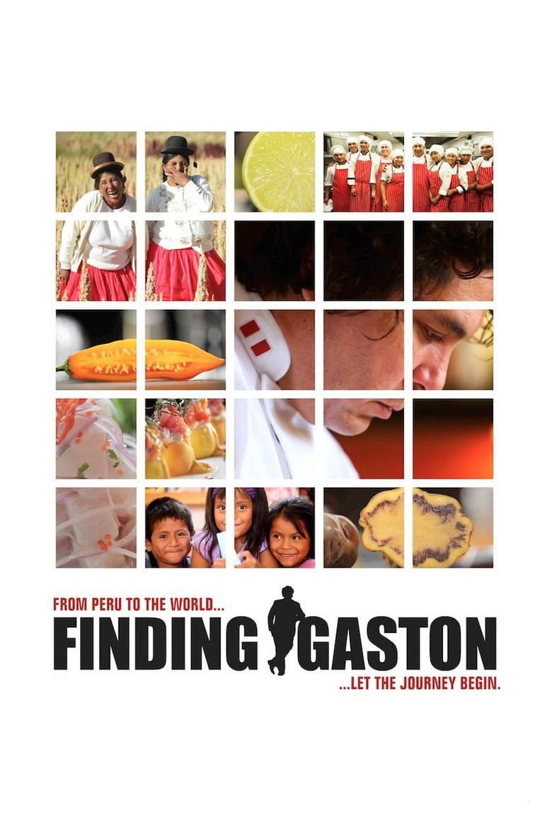 Finding Gastón poster