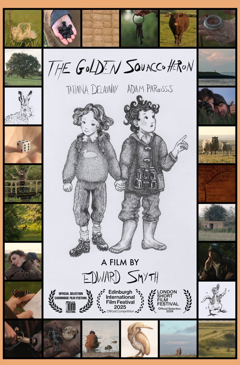 The Golden Squacco Heron poster
