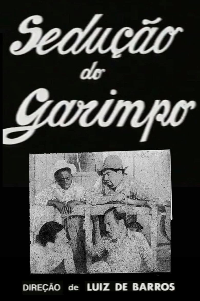 Black Diamonds poster