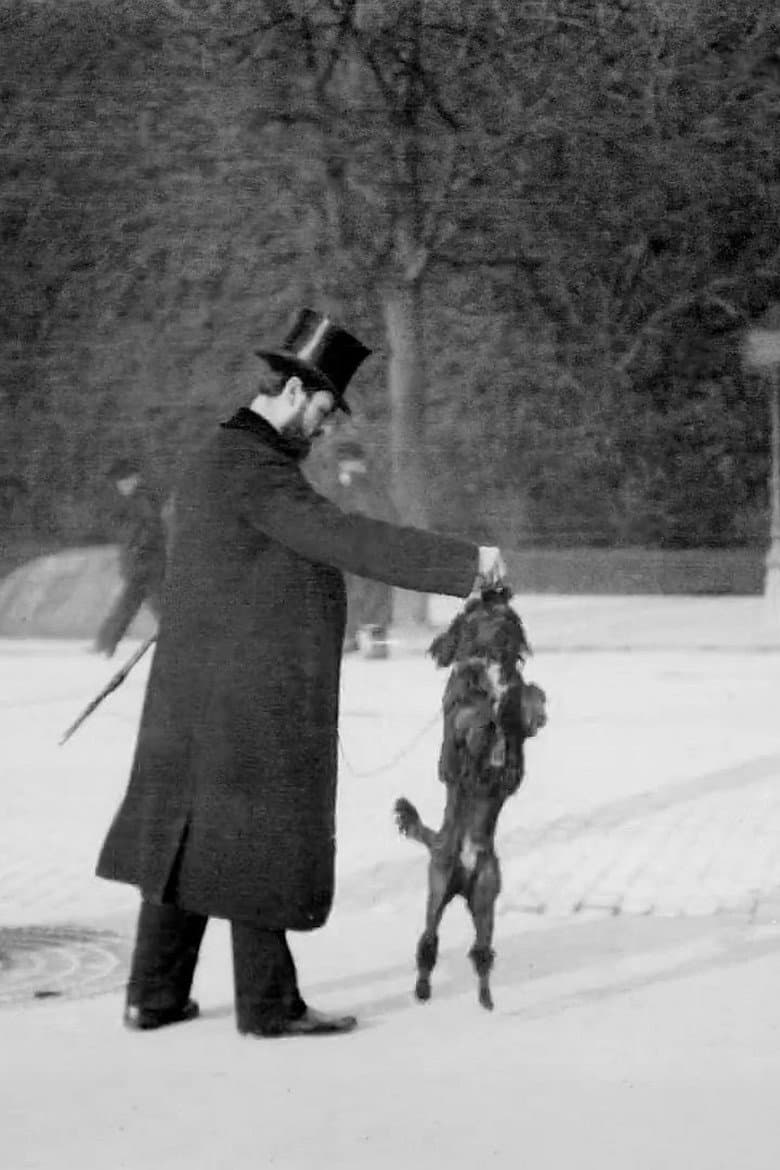 Chien Caniche Noir Sautant poster