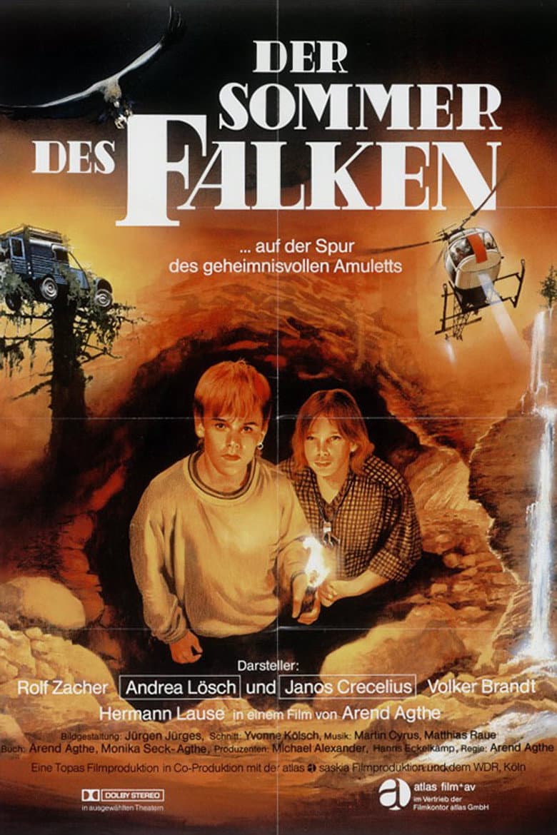 Der Sommer des Falken poster