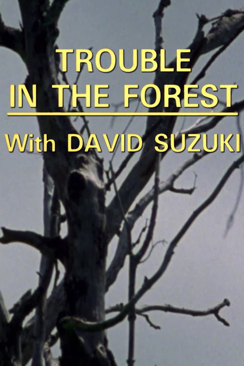 Trouble in the Forest poster