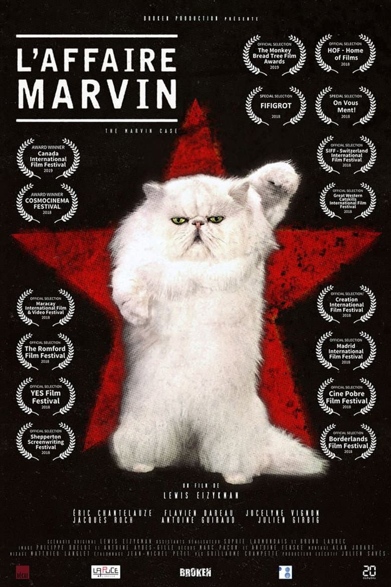 L'Affaire Marvin poster