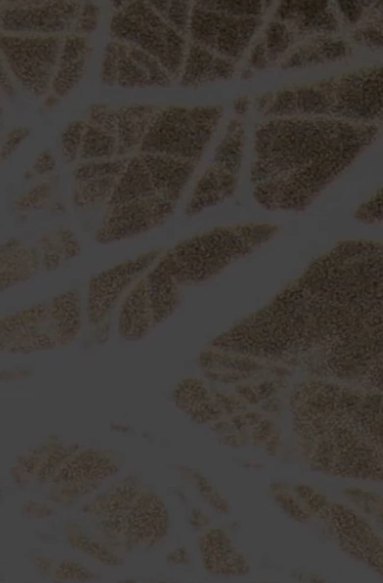 Organ Rhythms Under the Rain poster