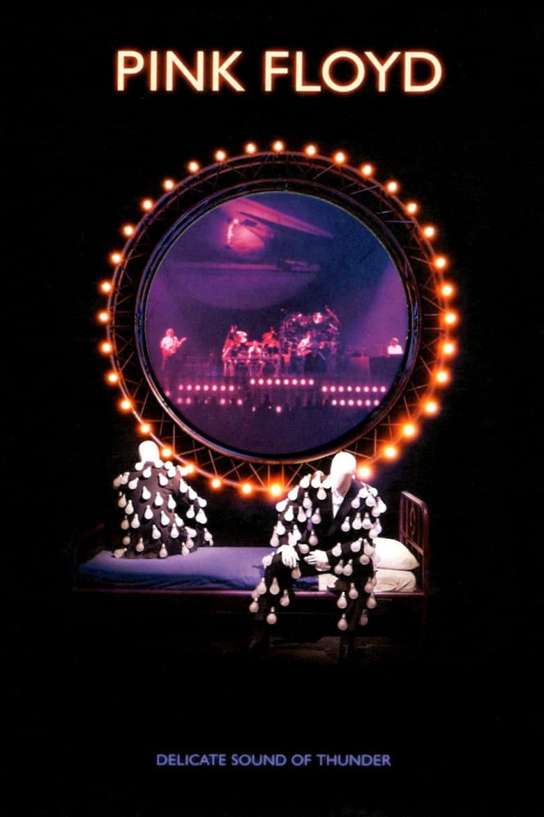 Pink Floyd - Delicate Sound Of Thunder [Remastered] poster