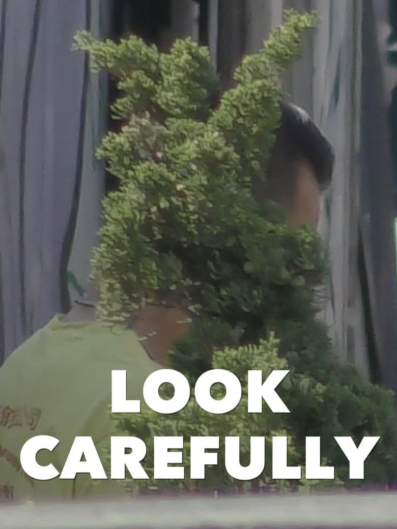 Look Carefully poster