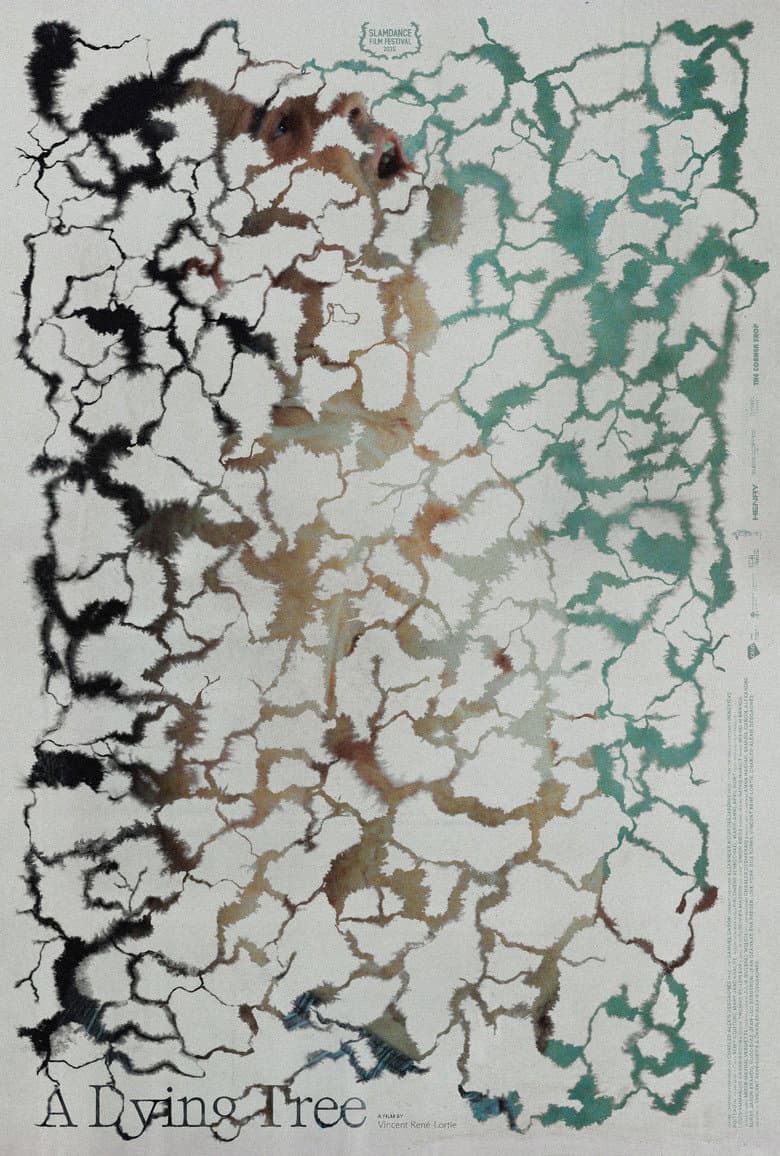 A Dying Tree poster