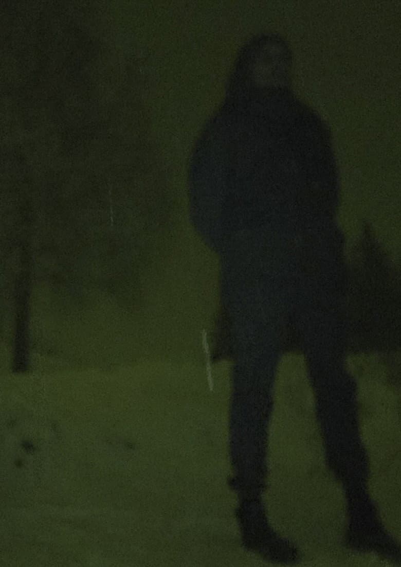 Ada and Maxim poster