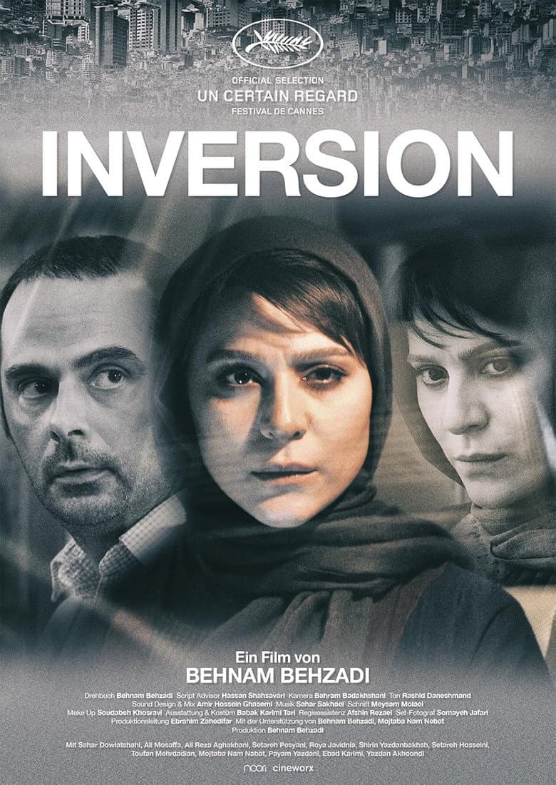 Inversion poster