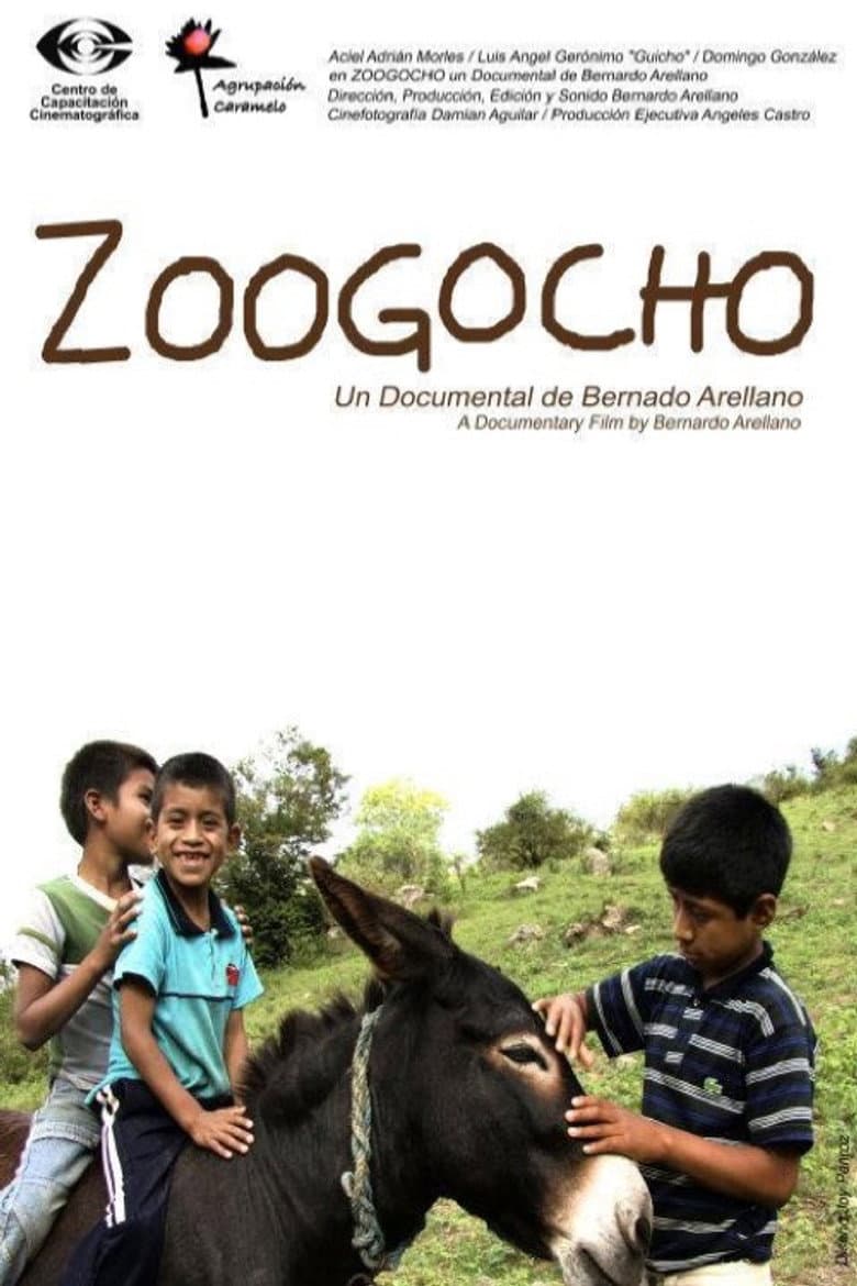 Zoogocho poster