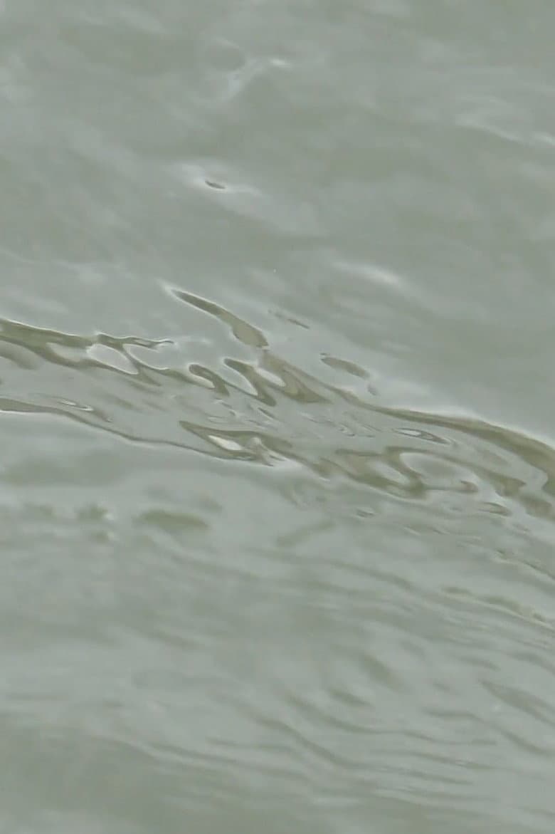 entre les vagues (un hommage) poster