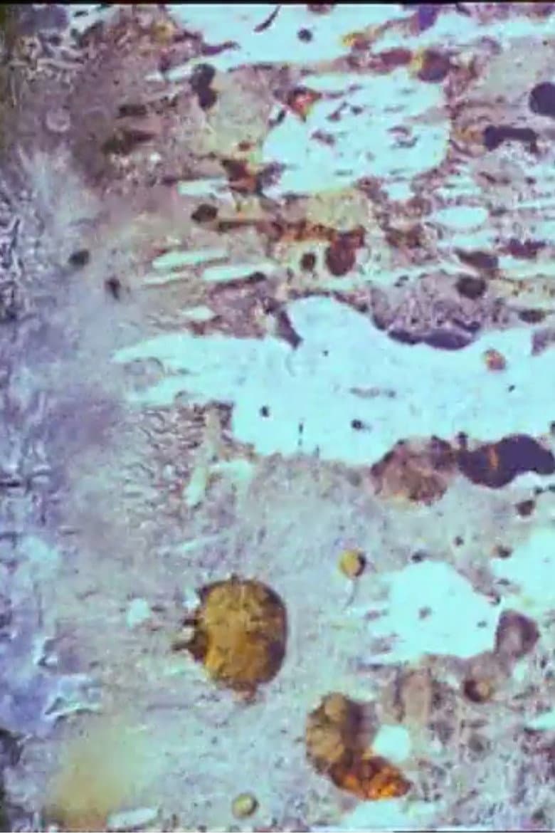 Beauty and the Beast poster