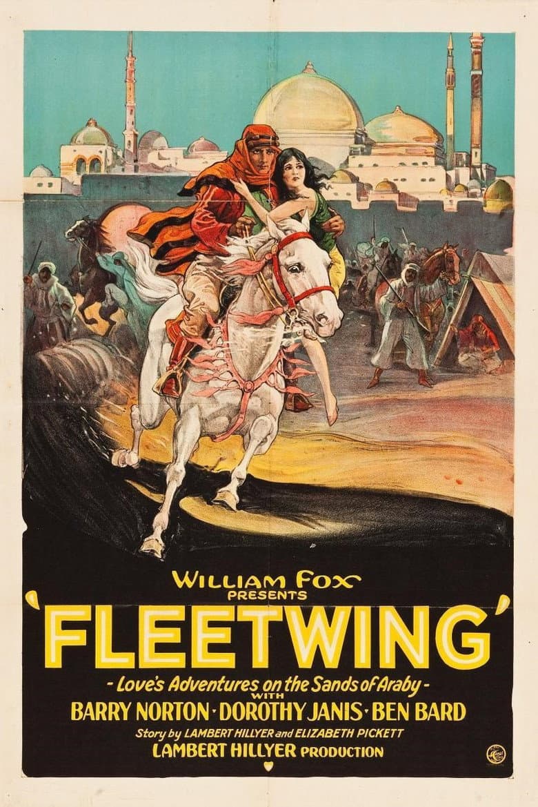 Fleetwing poster