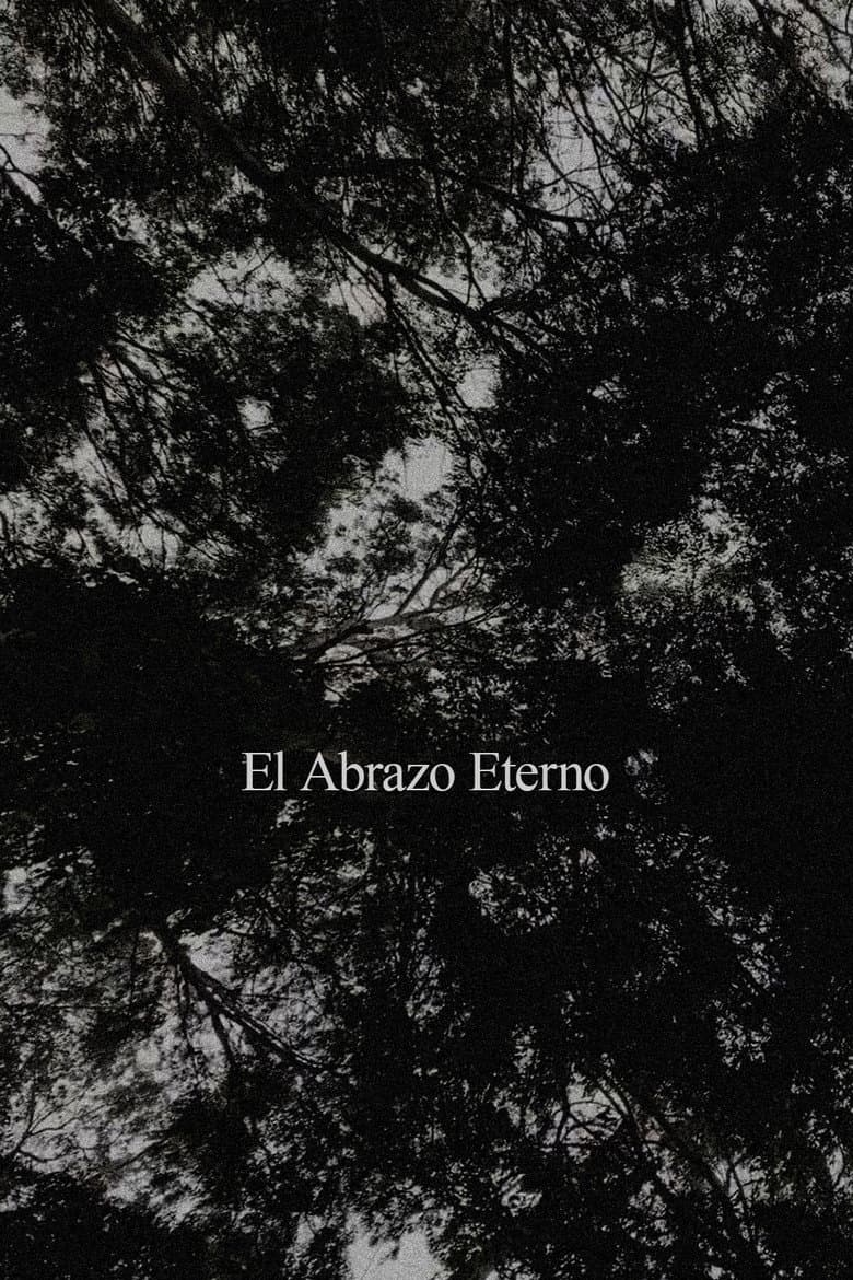 El Abrazo Eterno poster