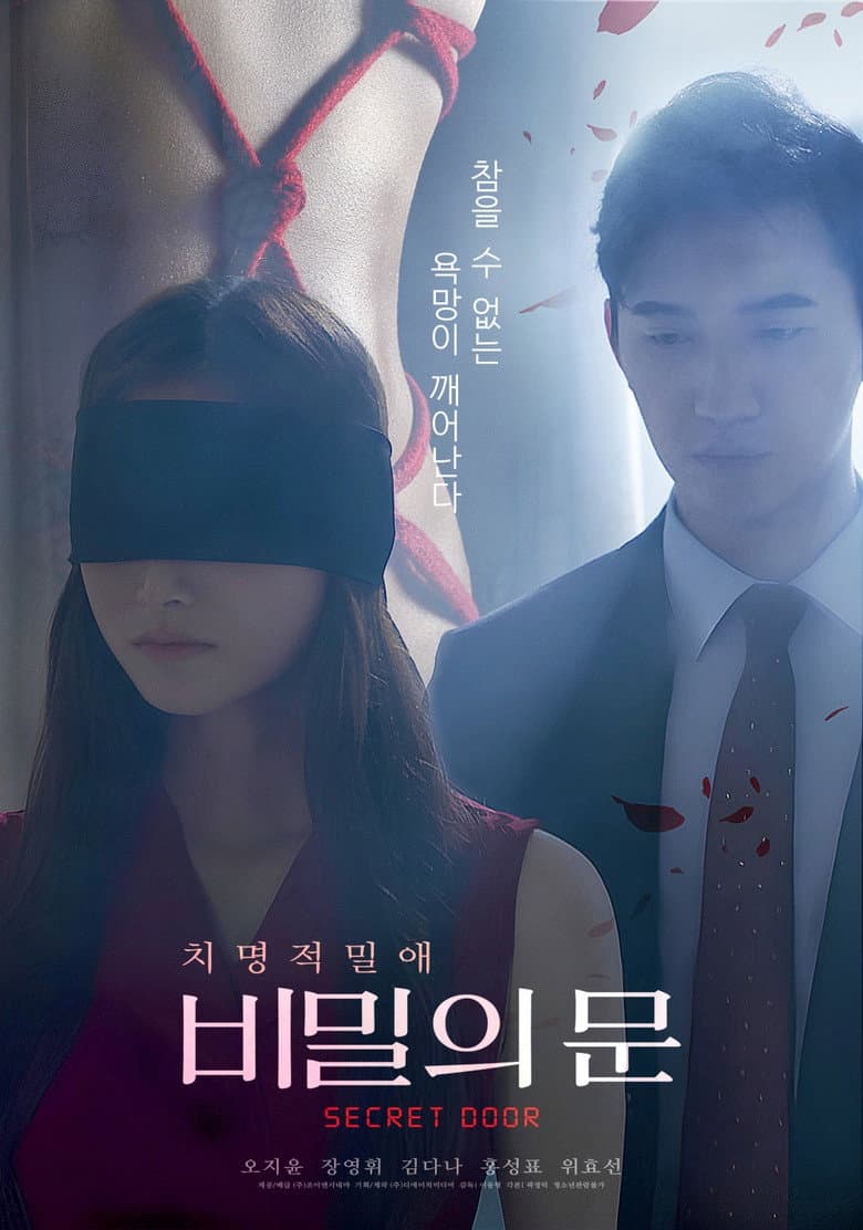 Secret Door poster