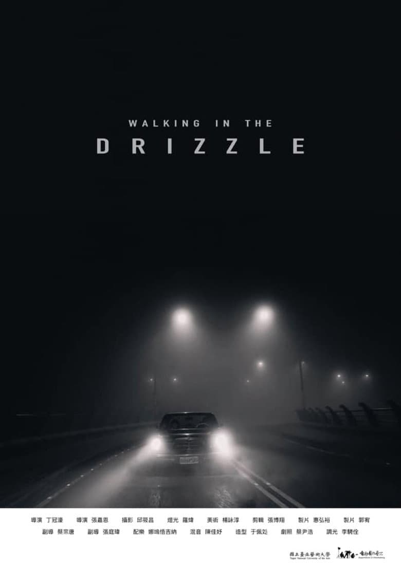 Walking in the Drizzle poster