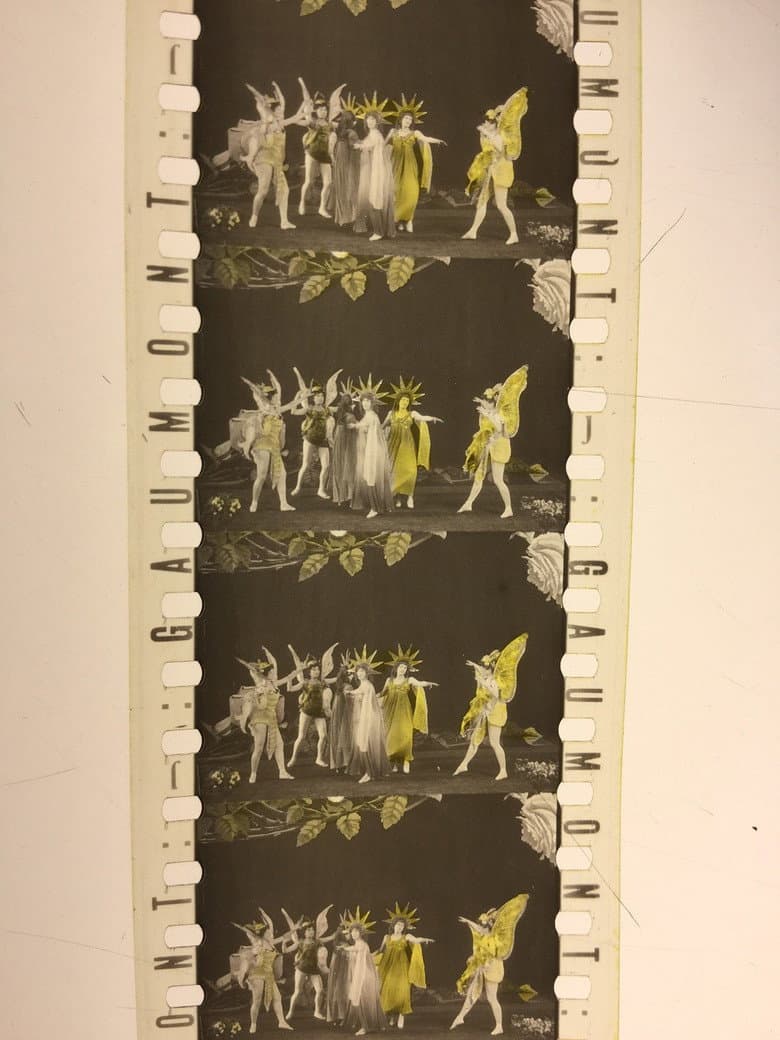 The Roses poster