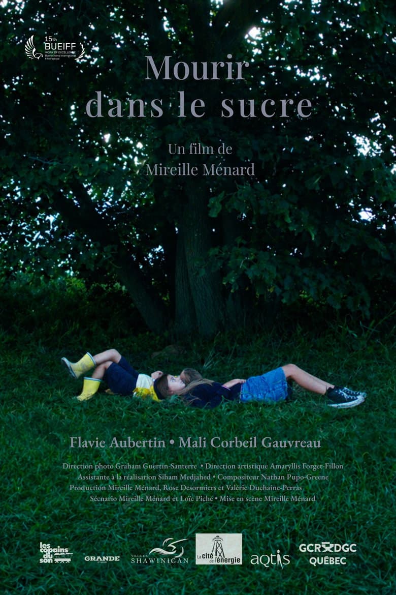 Mourir dans le sucre poster