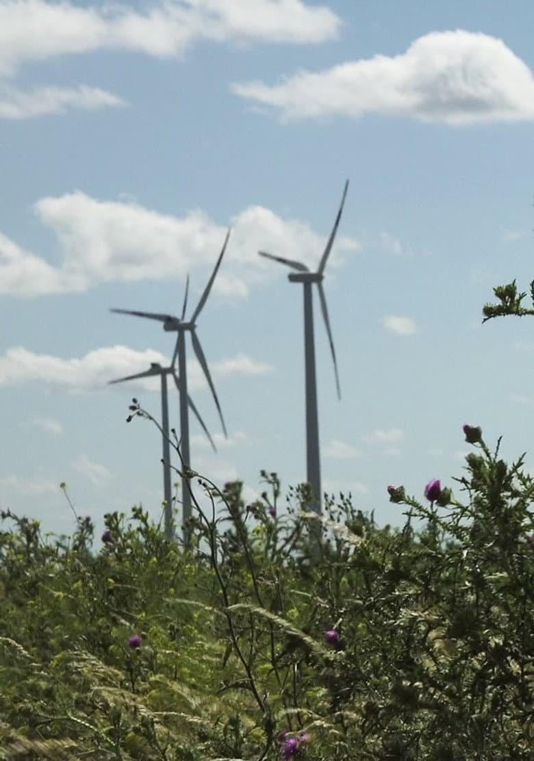 Windpark: Ein Lichtspiel bei Nacht poster