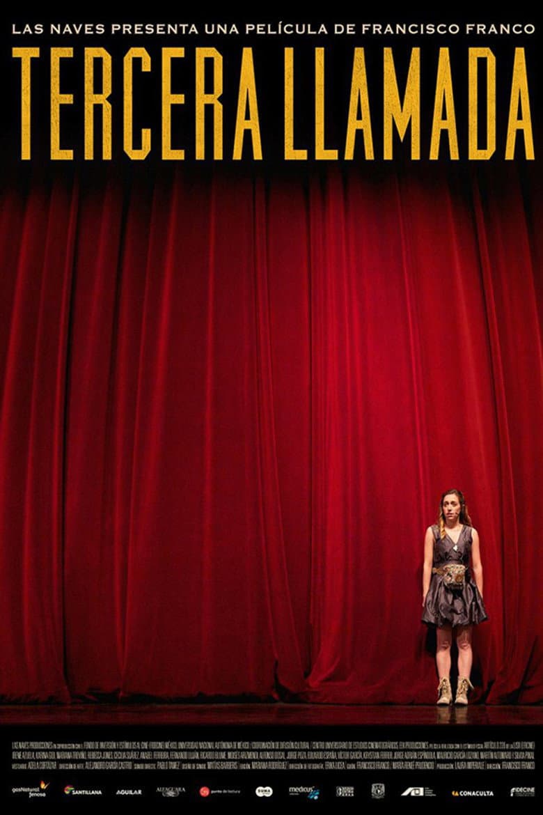 The Last Call poster