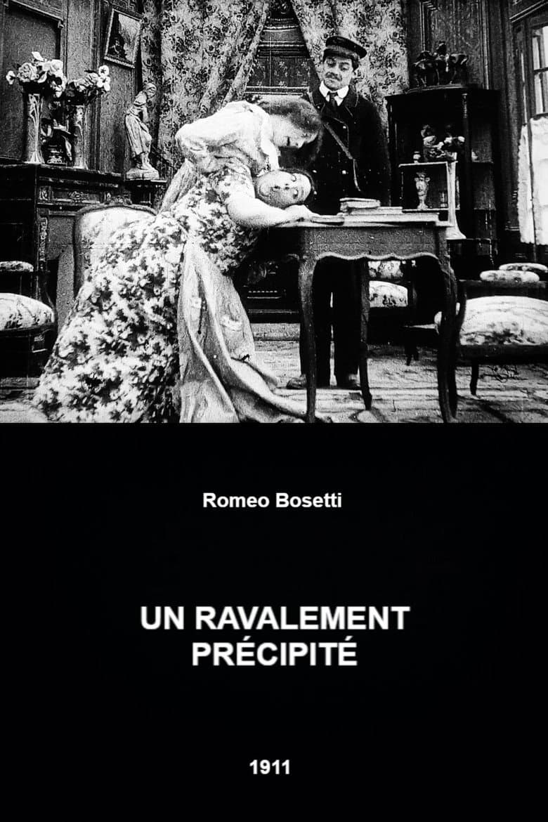 A Hasty Renovation poster